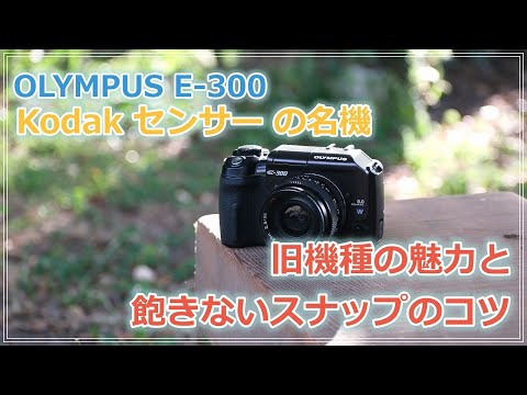 Kodak センサーの名機 OLYMPUS E-300 「雑談」