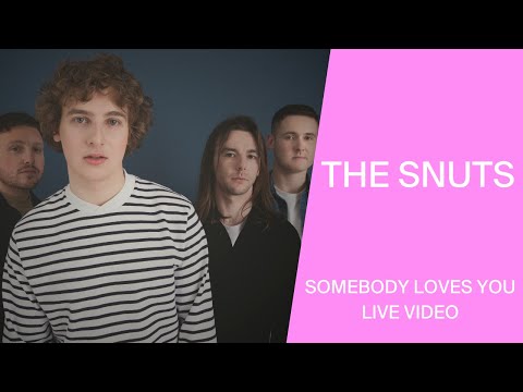 The Snuts - Somebody Loves You (Live from Dundee)