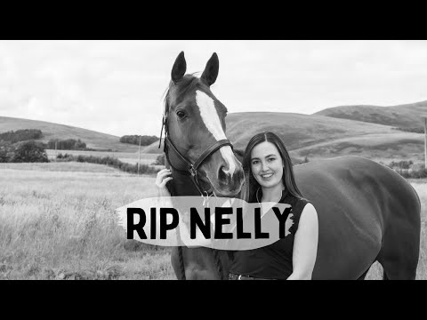 Our Journey| Goodbye Nelly