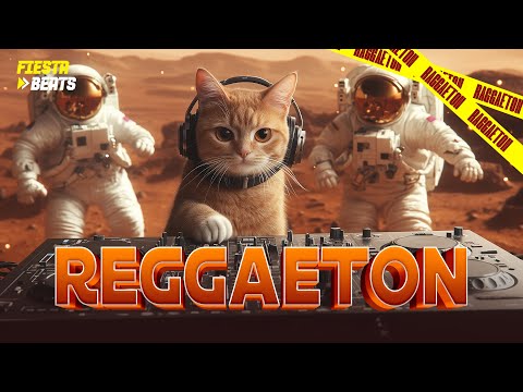 FIESTA REGGAETON 2025 🎉 TEMAZOS DEL MOMENTO 🔥 Dile, Cómo Dormiste,  Si Antes Te Hubiera Conocido