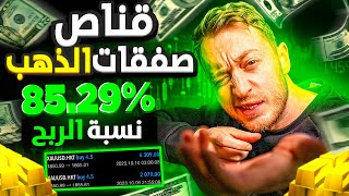 كيف تصبح غنيًا بتداول الفوركس!  أفضل مؤشر لتداول الذهب