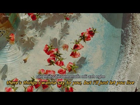 cinnamon girl - lana del rey lyrics//vietsub