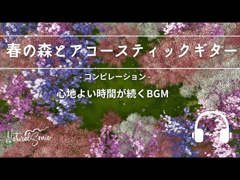 Natural Sonic「春の森とアコースティックギター」 コンピレーション - 心地よい時間が続くBGM -