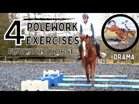 4 POLEWORK EXERCISES TO TRY WITH YOUR HORSE| Inc bucking!!