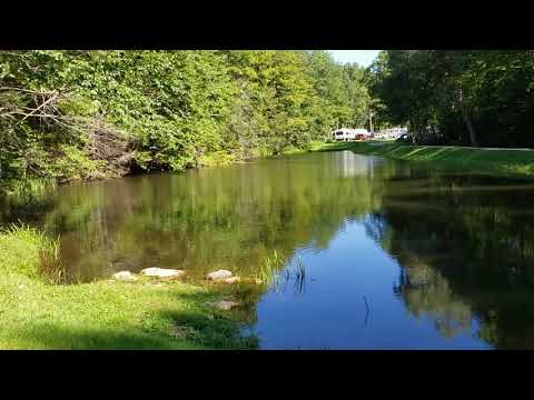 Vermont camping experience!