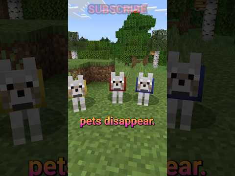 mojang is making PETS DISAPPEAR 😭