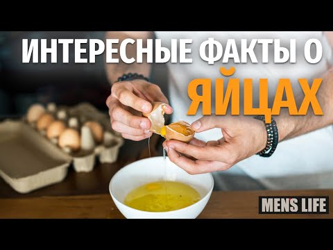 Интересные факты о ЯЙЦАХ. Куриные яйца - вред и польза