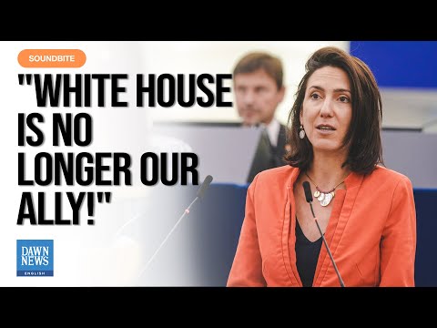 MEP Valérie Hayer Urges Europe To Stand Strong Without U.S Support | Dawn News English