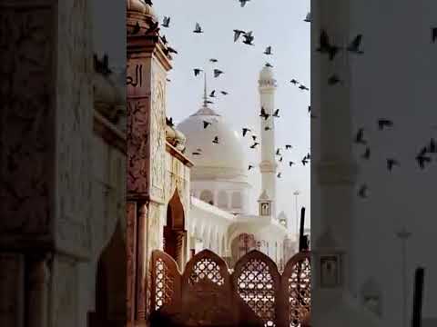 Islamic video short video