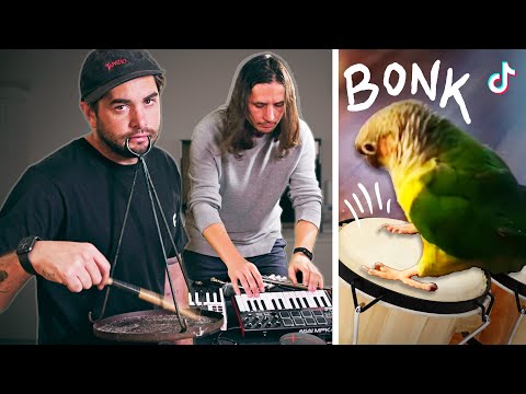 Take On Me (made with a bird) Dan Mace x The Kiffness