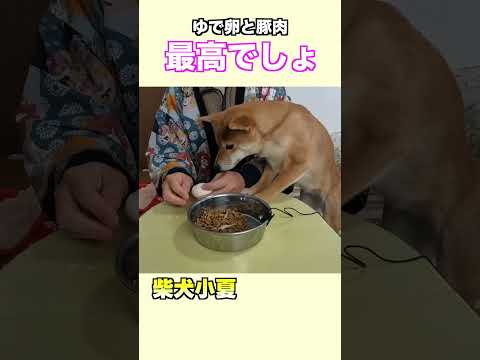 ゆで卵と豚肉は最高でしょ