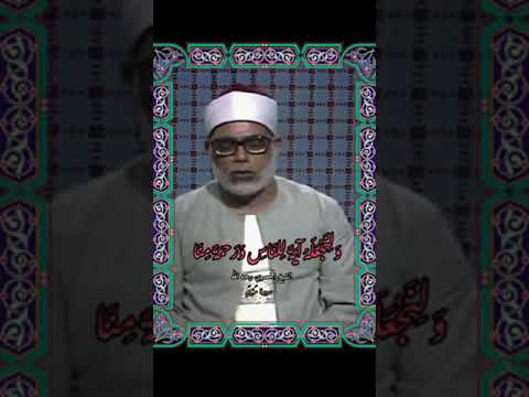 "آية تمنحك الراحة النفسية فورًا"