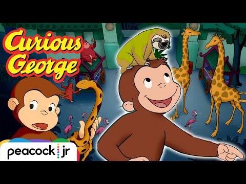 George's WILD Animal Adventures! | CURIOUS GEORGE