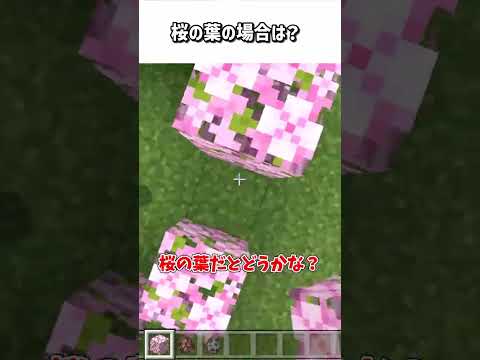 ラヴェジャーは桜の葉を破壊できる？【マイクラ】 #shorts