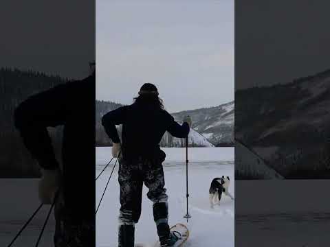 Water Run At The Yukon Cabin Winter Ice