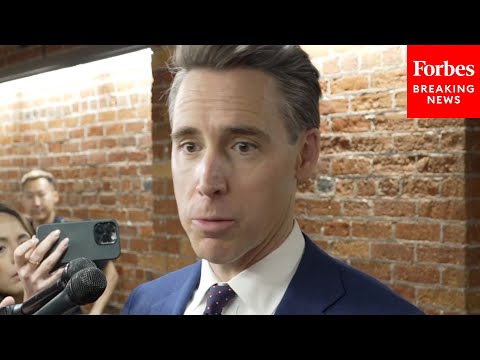 'How Are They Going To Explain That?': Hawley Reacts To Some Democrats Planning To Vote Against CR