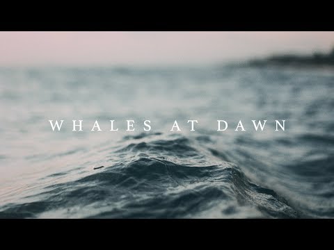 Nacre - Whales at Dawn