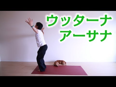 前屈のポーズ（ウッターナアーサナ）のやり方【ヨガ】