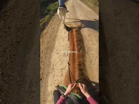 Riding lesson vlog! 🐴💚 #equestrian