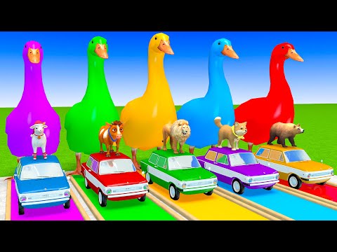 5 Giant Duck Cartoon,Cow,Elephant,Tiger,Lion,Dinosaur,Paint Wild Animals Crossing Fountain Animation