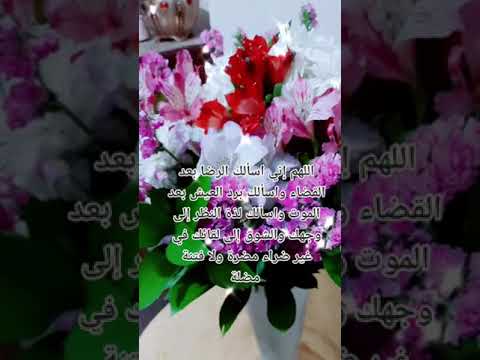 دعاء قضاء الحاجة #اللهم_اني_اسالك_الرضا_بعد_القضاء#مساء_السعادة