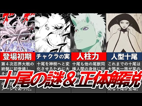 【NARUTO・BORUTO】謎めいた十尾の生態そして立ち位置を徹底解説！？【ナルト/ボルト解説・考察・反応集】