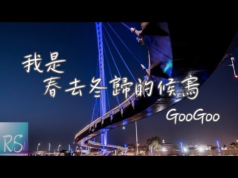 🎧GooGoo - 我是春去冬歸的候鳥【我像候鳥 飛啊飛啊 往遠方飛 我的夢啊 追啊追啊 人總有機會】(動態歌詞)