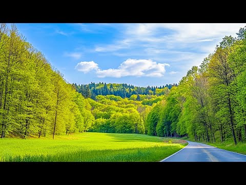 Soothing Music Relaxes the Soul and Heart 🌿 Stress Relief Music, Healing Music