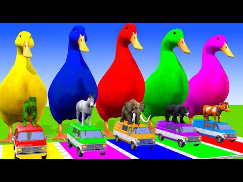 5 Giant Duck Cartoon,Cow,Elephant,Tiger,Lion,Dinosaur,Paint Wild Animals Crossing Fountain Animation