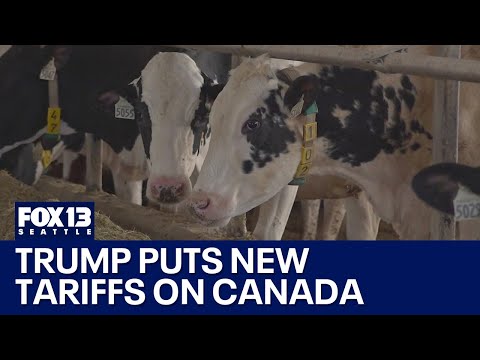 Trump puts new tariffs on Canadian dairy products | FOX 13 Seattle