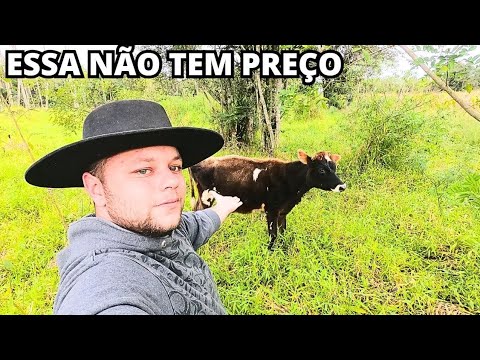 MEU ÚLTIMO VÍDEO COM A MIMOSA ! PARECIA QUE ELA TAVA SE DESPEDINDO