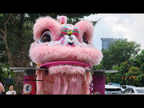 元宵节2025 new year lion dance