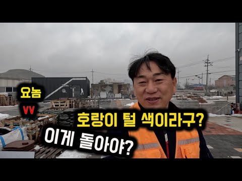 호피석이면 호랑이 털 색이란건가? 이게 돌이야?