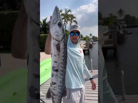 SEA MONSTER🎣 Caught for Giant Shark🦈 Bait!🤯