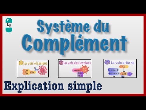 LE SYSTÈME DU COMPLÉMENT - Explication simple, CAM, Convertase, Immunologie