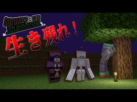 1時間サバイバルリベンジ！！【マイクラ】