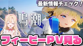 【#鳴潮】完全初見！フィービーちゃんキャラPV鑑賞！ついに明日実装！１６１【初心者・初見さん歓迎/めいちょう/wuthering waves/wuwa/Vtuber】#鳴潮RALLY