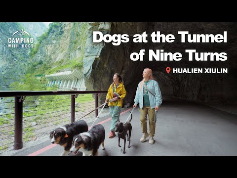 Camping Amidst Taroko National Park | Camping with Dogs