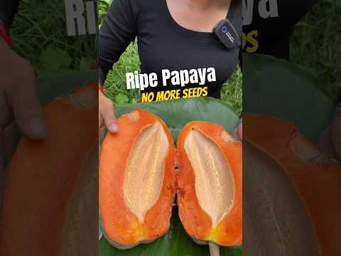 Ripe Papaya No More Seeds #siscookingtv #mukbang #eatingshow #papaya