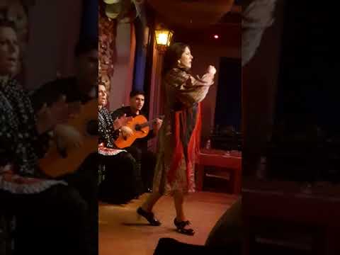 Flamenco at Malaga nights - III