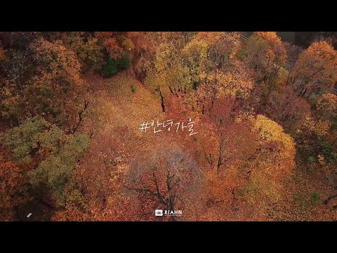 안녕가을🍁🍂🍁