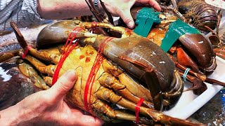 Japanese Street Food - GIANT MUD CRABS Cooked Two Ways Okinawa Seafood Japan