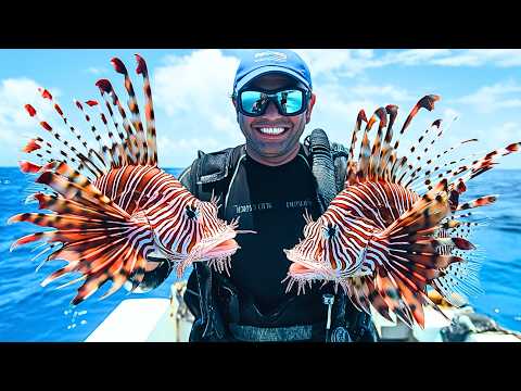 21 Most Beautiful Fishes in the World | Nature’s Ultimate Masterpieces!