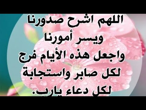 اللهم اشرح صدورنا ويسر أمورنا وأجعل هذه الأيام  فرج لكل صابر واستجابه لكل دعاء يارب🤲