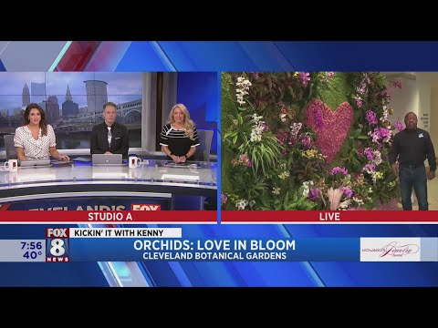 Kenny discovers there's a lot to love about orchids