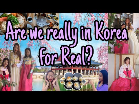 Food Vlog🍱| Is this Kohima Nagaland?😱 |First time visited Korean Restaurant| Secret Garden🪴