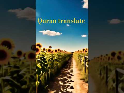 قرآن ترجمہ #surahalimranwithurdutranslation #quotes #translationquranandislam #bayan #duet #قرآن