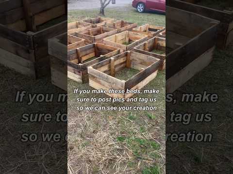 How To Build These VIRAL Pallet Garden Beds!