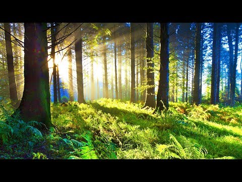 Positive Relaxing Music for Stress Relief. Soothing Music for Meditation, Healing Therapy, Sleep