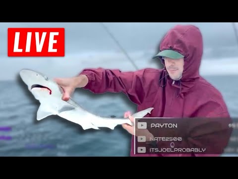 Offshore Fishing Live (caught a shark!)